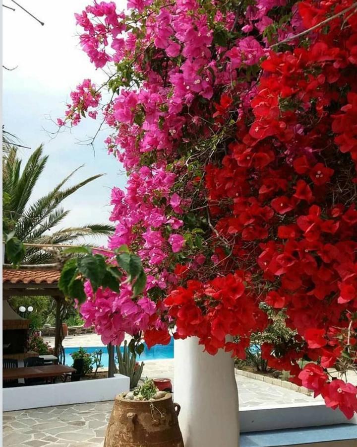 Villa Pari Manda Άγιος Προκόπιος Εξωτερικό φωτογραφία